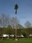 Bilder von Bad Bodendorf im Fr�hling