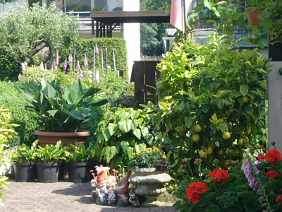 Bl�hendes Bad Bodendorf 2013