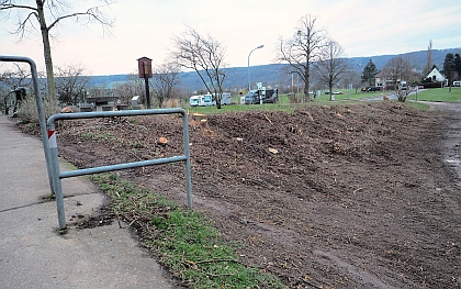 Rodungsma�nahmen f�r Kanalbauarbeiten