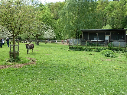 Gro�er Saisonabschluss am Schwanenteich