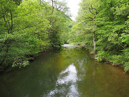 B�rgerwanderung mit dem Bad Bodendorfer Ortsbeirat