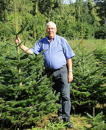 Peter Bauer aus Bad Bodendorf im Wald bei seinen Tannenb�umen